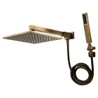 Chuveiro Parede Com Desviador Metal Platina Ouro Velho Fani