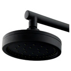 Chuveiro Parede Com Desviador Mix Plus Preto Fosco Fani