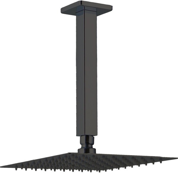 Chuveiro Teto Inox 304 Slim 30 Cm + Braço 25 Cm Mundaú - Preto