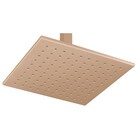 Chuveiro Teto Metal Platina Tubo 10 Cm Champanhe Fani