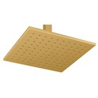 Chuveiro Teto Metal Platina Tubo 10 Cm Gold Fani