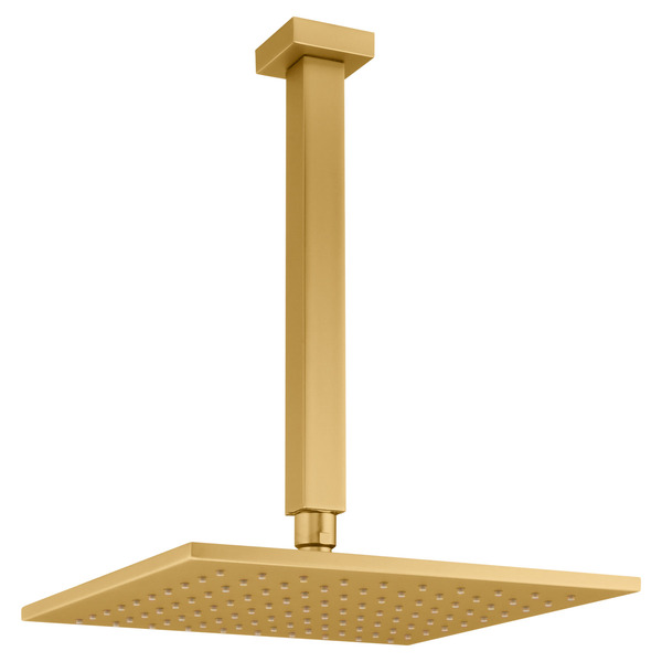 Chuveiro Teto Metal Platina Tubo 30 Cm Gold Fani