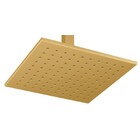 Chuveiro Teto Metal Platina Tubo 30 Cm Gold Fani