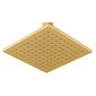 Chuveiro Teto Metal Versata Tubo 10 Cm Gold Fani