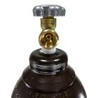 Cilindro De Gás Argônio Mistura Para Solda 1 5m³ 10 Lts Vazio