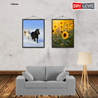 Cimento Queimado Elastment Nozes 3,7kg