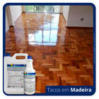 Cinderela Free - Cera Acrílica Tráfego Médio 05 L