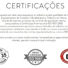Cinto Tipo Paraquedista 2 Pontos Com Extensor Dorsal Dg5700