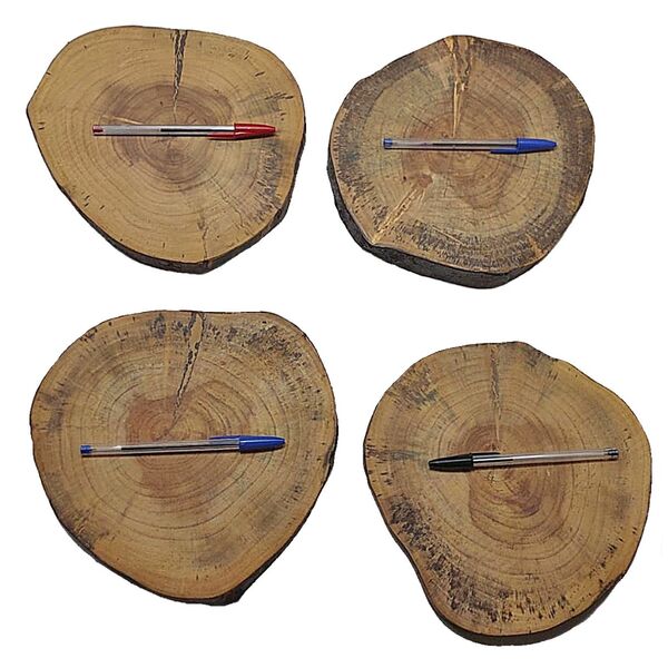 Cj C/ 4 Bolachas De Madeira Rústica Envernizada 22,5 X 22cm