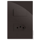 Cj Interruptor Simples + 1 Tomada 10a - Recta Chocolate Gloss