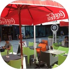 Climatizador Cassino Pedestal 2019 100 Lts Econômico/potente