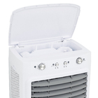 Climatizador de Ar 127V (110V) ACL4022 110W Branco Amvox
