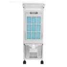 Climatizador de Ar 220V Frio AKAF 4,5L Branco Springer