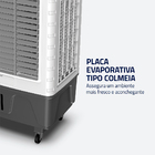 Climatizador Mondial Wind Pro 45l 230w Cl45l Branco Com Cinza