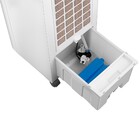 Climatizador Portátil Philco 5L 127(110V) PCL10QF