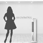 Climatizador Torre Spirit 7L 127V (110V) Slim Branco