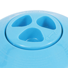 Cloro Flutuador com Termômetro Intex