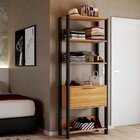 Closet Amanda 1 Porta 3 Prateleiras 100% Mdf Freijó/preto Fos