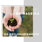 Closet Arara Com Espelho Branco Tubos Cromados Carraro