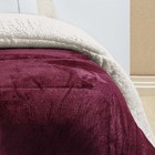 Coberdrom Apollo Casal Padrão Sherpa Manta Flannel Toque Lã D