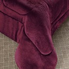 Coberdrom Apollo Casal Padrão Sherpa Manta Flannel Toque Lã D