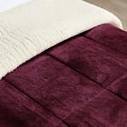 Coberdrom Apollo Solteiro Sherpa Manta Flannel Toque Lã De Ca