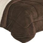 Coberdrom Casal Queen Tabaco Edredom Felpudo Dupla Face 240x2