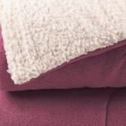 Coberdrom Casal Queen Toque Lã De Carneiro Sherpa/manta Roxo