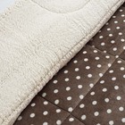 Coberdrom Cobertor Celine Casal Queen 01 Peça Tecido Sherpa M