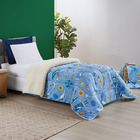 Coberdrom Cobertor Fantasy Solteiro Infantiil Sherpa Manta To