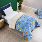 Coberdrom Cobertor Fantasy Solteiro Infantiil Sherpa Manta To