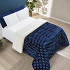Coberdrom Cobertor Meggy Poá King Sherpa Manta Flannel Bolinh