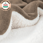 Coberdrom Cobertor Queen Aveludado Manta Soft Com Sherpa Dupl