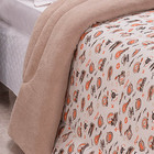 Coberdrom Fantasy Avião Solteiro Dupla Face Manta Soft Com Ma