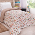 Coberdrom Fantasy Avião Solteiro Dupla Face Manta Soft Com Ma