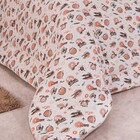 Coberdrom Fantasy Avião Solteiro Dupla Face Manta Soft Com Ma