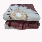 Cobertor Casal Raschel Jolitex Plus 1,80x2,20m Caster