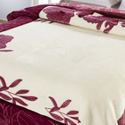 Cobertor Casal Raschel Jolitex Plus 1,80x2,20m Mazurca