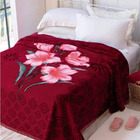 Cobertor Casal Raschel Jolitex Plus 1,80x2,20m Palouse