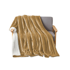 Cobertor/edredom Sherpa Queen Dupla Face Inverno Bege Casen