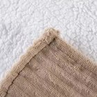 Cobertor Extra Macio Sherpa Antialérgico 100% Poliéster - Jol