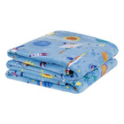 Cobertor Fantasy Solteiro Infantil Mantinha Flannel Estampada