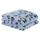 Cobertor Fantasy Solteiro Infantil Mantinha Flannel Estampada