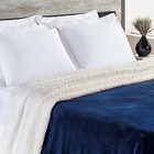 Cobertor Magnific Casal King Sherpa Com Manta Microfibra Toqu