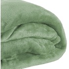 Cobertor Manta Microfibra Solteiro (toque Aveludado) - Erva D