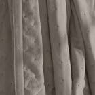 Cobertor Queen Poliéster Ultraplush Taupe Hedrons