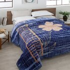 Cobertor Raschel Plus Pol. Estamp. Malbork 220cm X 240 Cm Azul