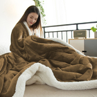 Cobertor Sherpa Queen Dupla Face Inverno Bege Casen