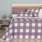 Cobre Leito Casal Ivy Micropercal 200fios 3pç Rosê