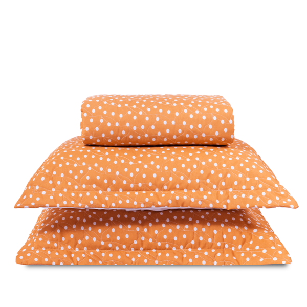 Cobre Leito Casal Padrão Classic Estampado 160 Fios 3 Peças -